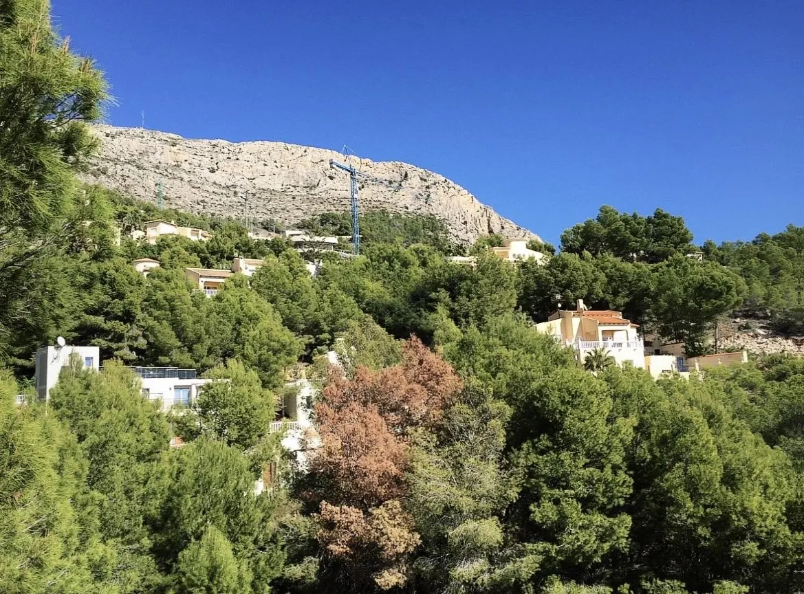 Parcela en Altea Hills — Parcela en venta en Altea, Costa Blanca — foto 22