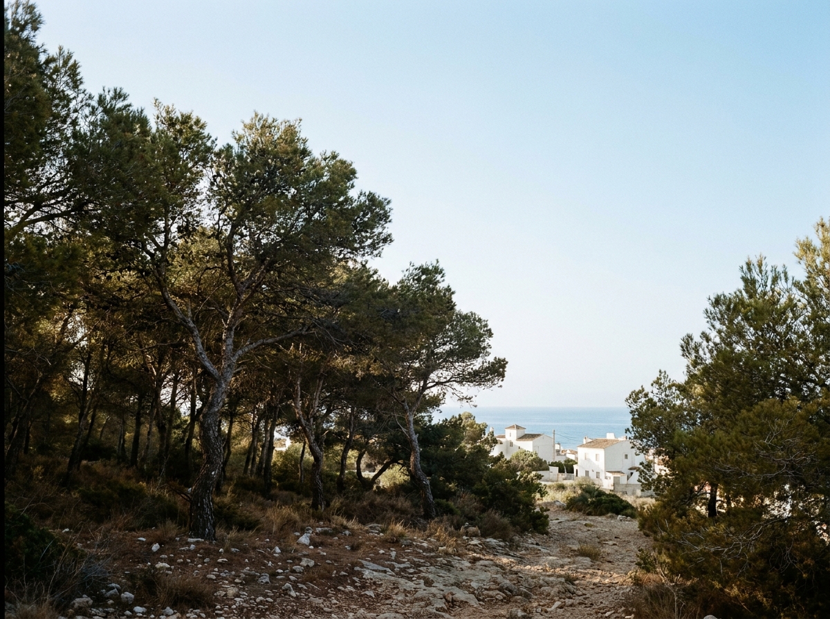 Palmeral de Elche
